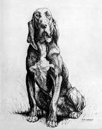 Image result for Carlisle BloodHounds