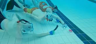 Image result for TAROT Octopush Club