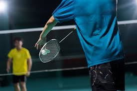 Image result for Dragons Junior Badminton Club