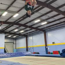 Image result for Fish trampoline and gymnastics club