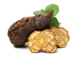 Attēlu rezultāti vaicājumam “Polygonatum multiflorum  fruit”