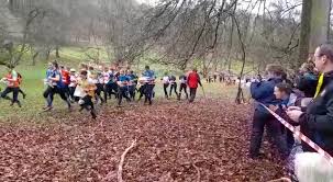 Image result for Wimbourne Orienteers