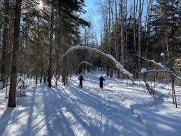 Image result for Lakeland Cross Country Ski Club