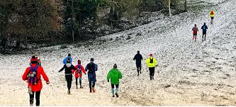 Image result for South London Harriers