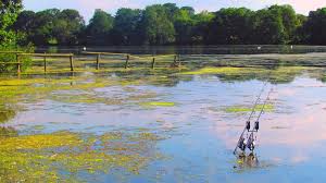 Image result for Penketh & Old Hall Angling Society