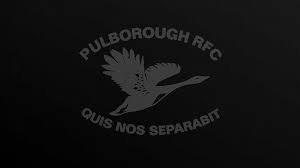 Image result for Pulborough Cricket Club