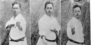 Image result for Shitokai Karate Club