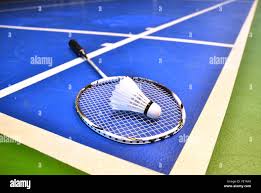 Image result for Shuttlecocks Badminton Club