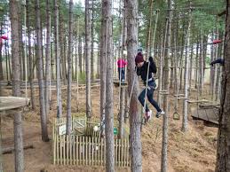 Image result for The Go Ape Experience (Delamere Forest)