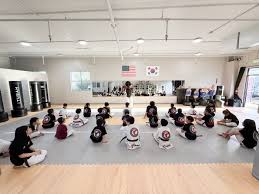 Image result for Calne Tagb Tae Kwon Do School