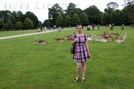 Image result for Dunham Massey Angling Club