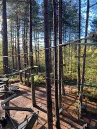 Image result for The Go Ape Experience (Delamere Forest)