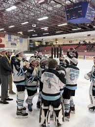 Image result for Ash Avalanche Skater Hockey Club