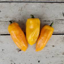 Afbeeldingsresultaat voor marconi golden sweet pepper