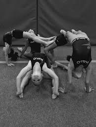 Image result for Falcon Sa Club