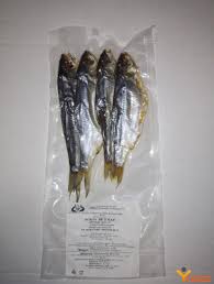 Image result for Rutilus caspicus