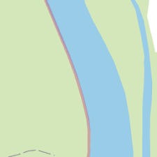 Attēlu rezultāti vaicājumam “Oligonema sp.”