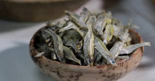 Attēlu rezultāti vaicājumam “Charales”