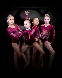 Image result for Elite Recreational Gymnastics Club