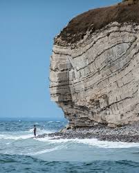 Image result for stevns klint