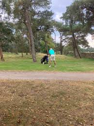 Image result for Sleaford Gc