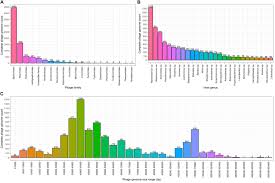 Image result for genome sizes