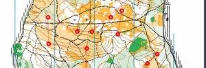 Image result for Guildford Orienteers