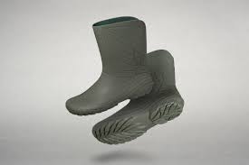 Attēlu rezultāti vaicājumam “Ranidae”