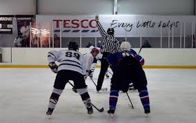 Image result for Streatham Night Wolves Ice Hockey Team