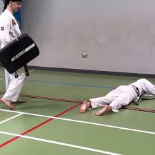 Image result for Wantage TAGB Tae Kwon-Do