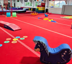 Image result for Buckley Girls Gymnastic Club