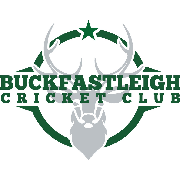 Image result for Yelverton Bohemians Cricket Club