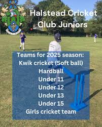 Image result for Halstead Colts Cricket Club