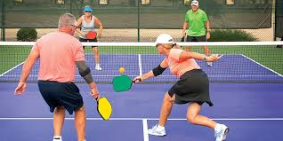 Image result for South London Area Pickleball - SLAP!
