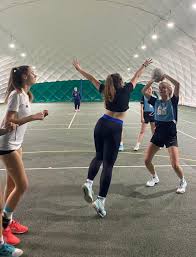 Image result for Civil Service (Ipswich) Netball Club