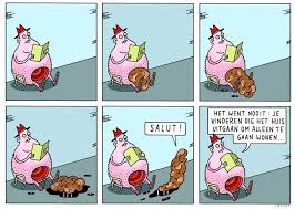 Image result for jeroom