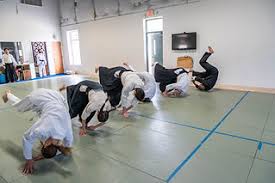 Image result for Kyu Shin Kan, Leicester Aikido