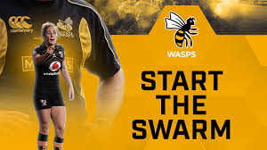 Image result for Wasps Football Club