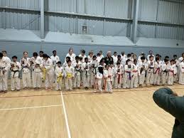 Image result for Windsor Higashi Karate Club