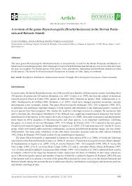 Attēlu rezultāti vaicājumam “Rhynchostegiella tenella sporophyte”