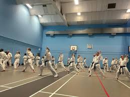 Image result for whitley karate club