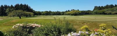 Image result for Forfar Golf Club