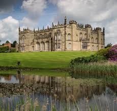 Image result for Nuneaton & Bedworth Sc