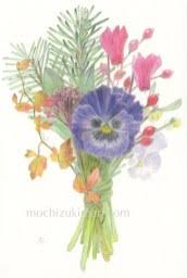 「望月麻里（マリ）」の画像検索結果