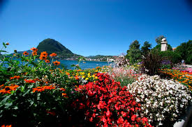 Image result for "Parco Ciani"