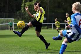 Image result for Warsash Wasps Sports & Football Club