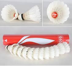 Image result for Flight Badminton Club