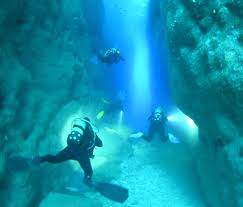 Image result for Teddington Sub-Aqua Club