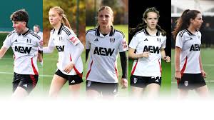 Image result for Fulham Football Club