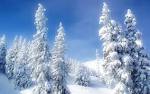 Desktop Wallpaper · Gallery · Nature · Mountain SNOW forest | Free ...